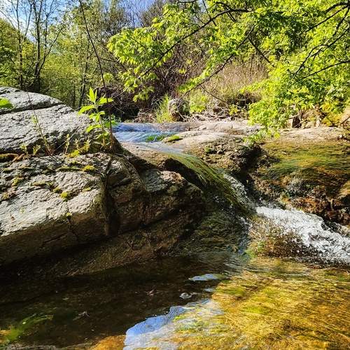 Photo #13390458