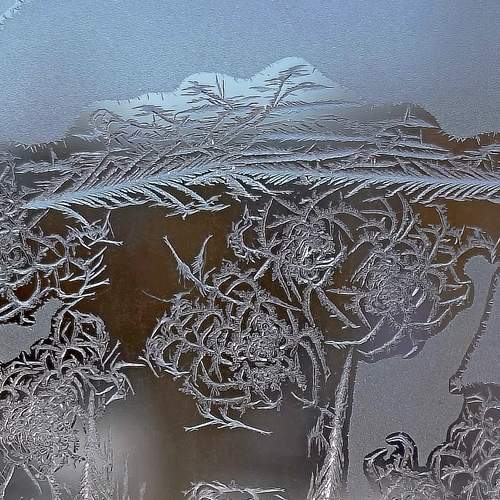 Photo #13390476