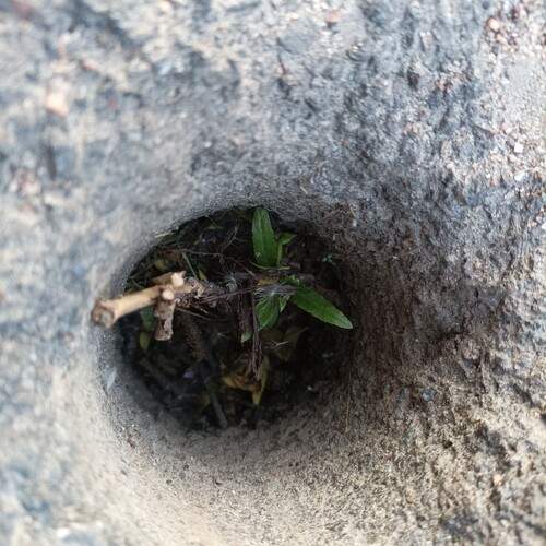Photo #13390552