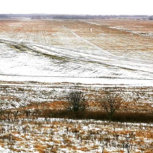 Photo #13390621