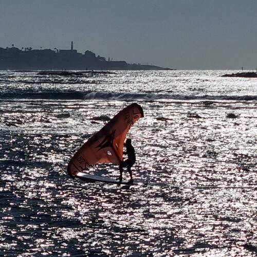 Photo #13390646