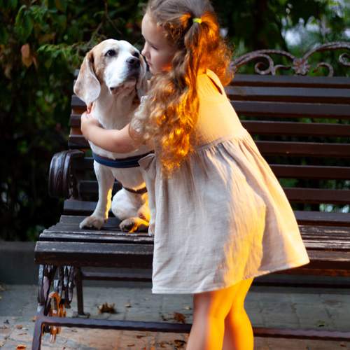 Photo #13390658
