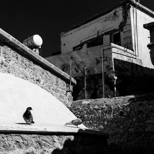 Photo #13390663