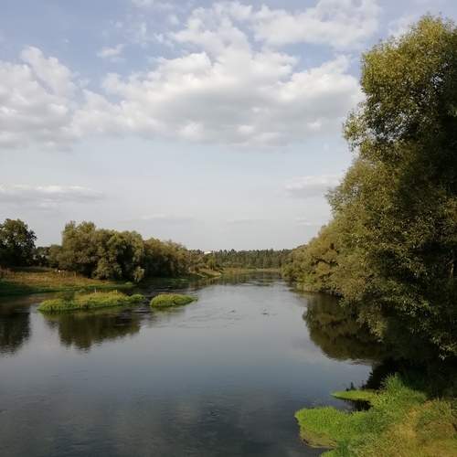 Photo #13390755