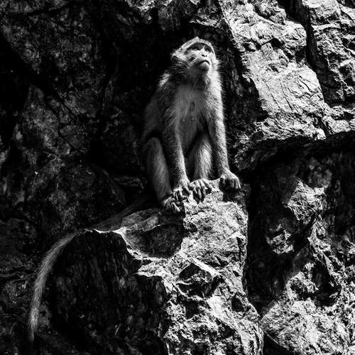 Photo #13390759