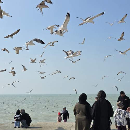 Photo #13390815