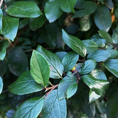 Photo #13390816