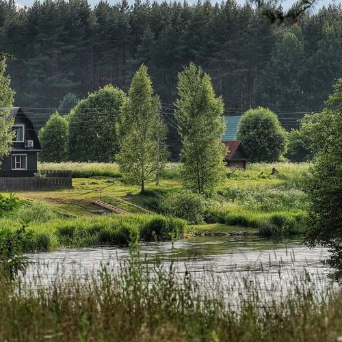Photo #13390974