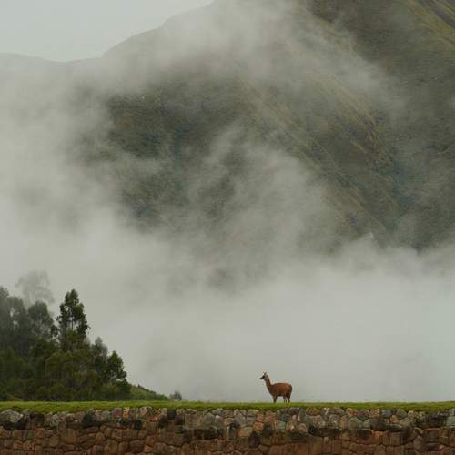 Photo #13390975