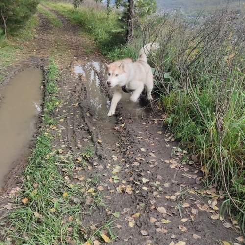 Photo #13391130