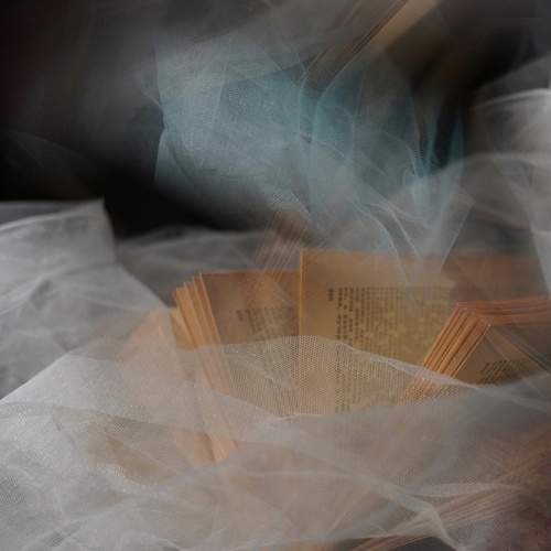 Photo #13391138