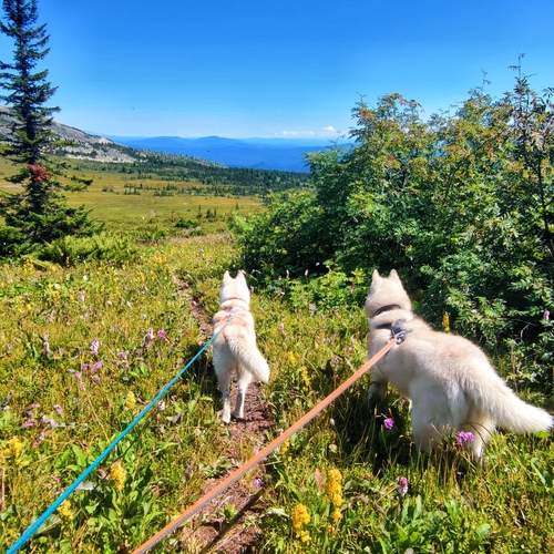 Photo #13391172