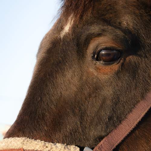 Photo #13391218