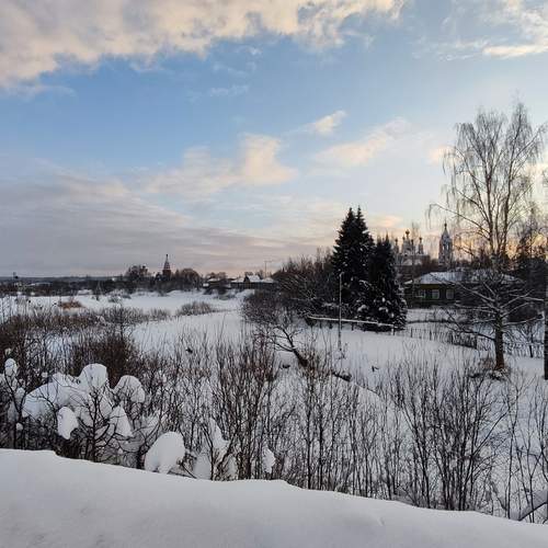 Photo #13391262