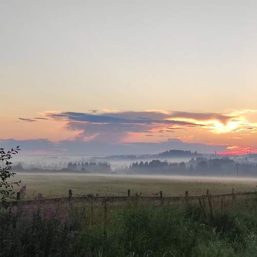 Photo #13391267