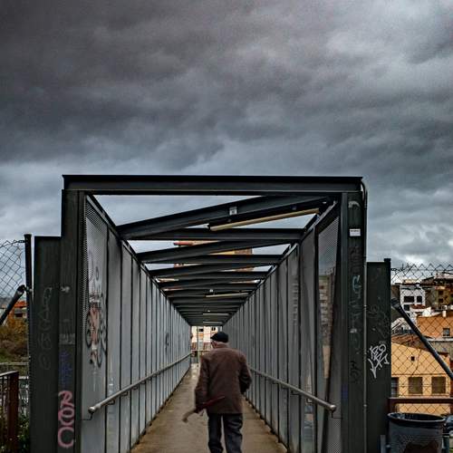 Photo #13391269