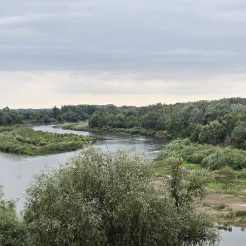 Photo #13391274