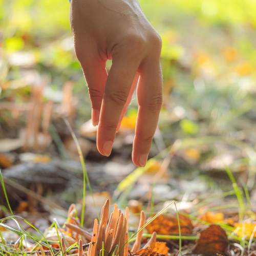 Photo #13391395