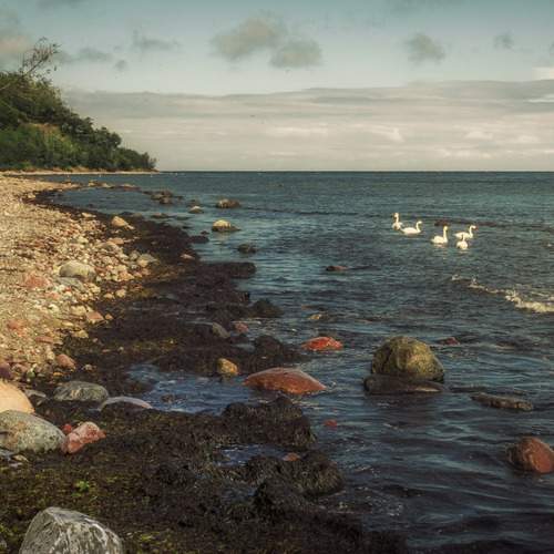 Photo #13391526
