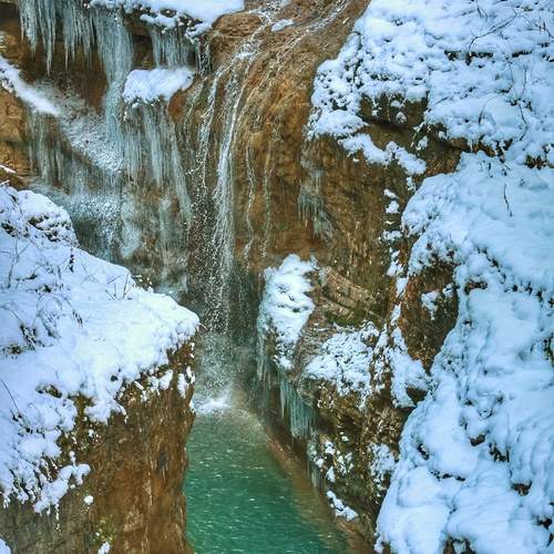 Photo #13391531