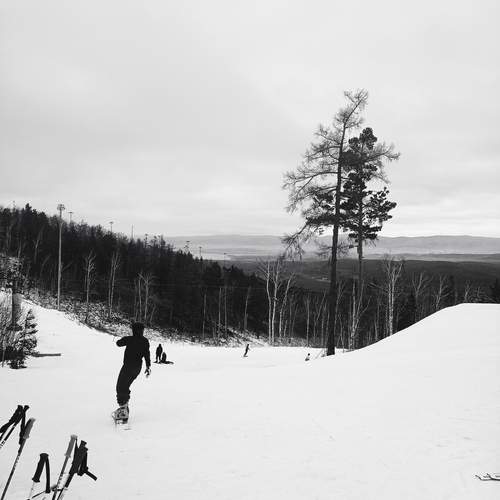 Photo #13391534