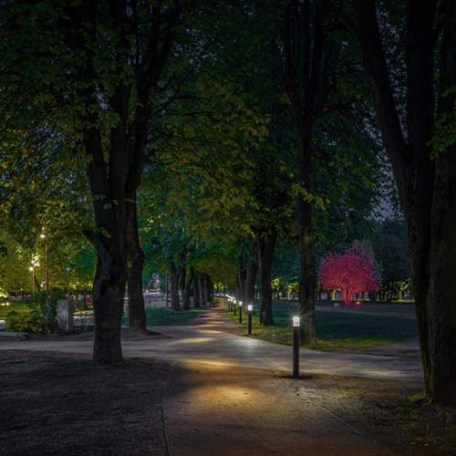 Photo #13391535