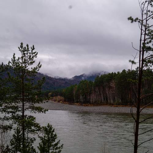 Photo #13391565