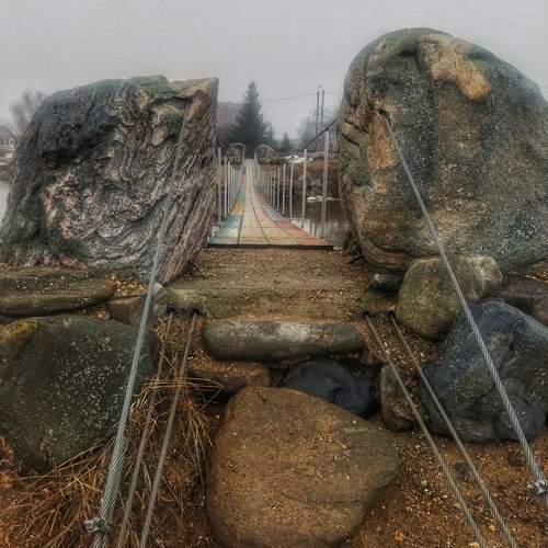 Photo #13391645