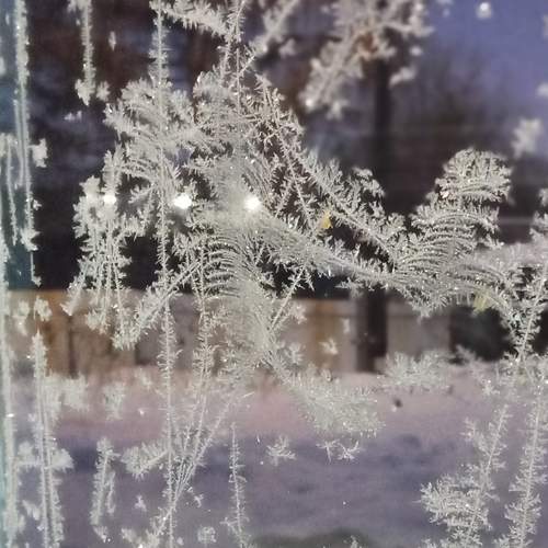 Photo #13391679
