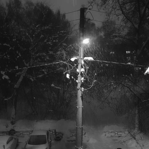 Photo #13391693