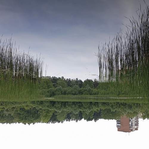 Photo #13391746