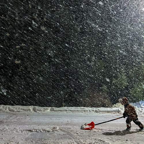 Photo #13391751