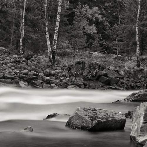Photo #13391760