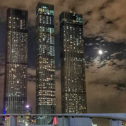 Photo #13391791
