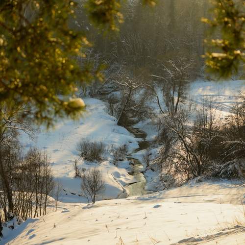 Photo #13391823
