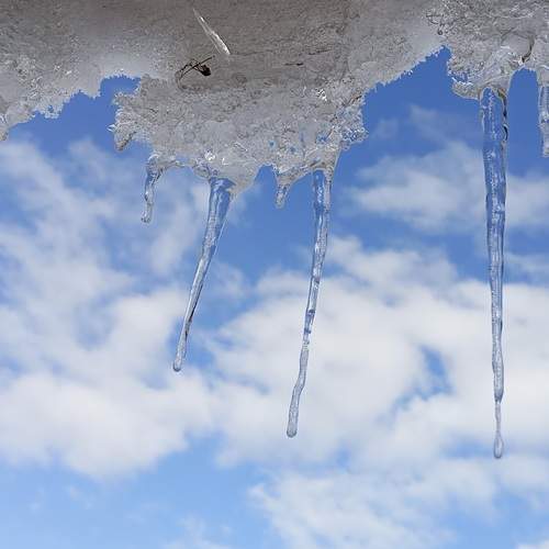 Photo #13391830
