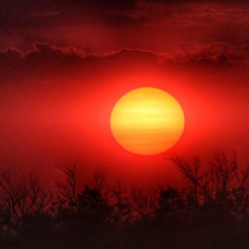 Photo #13391837