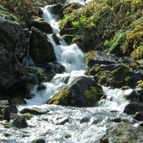 Photo #13391857