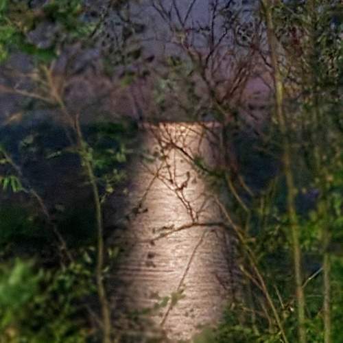 Photo #13391874