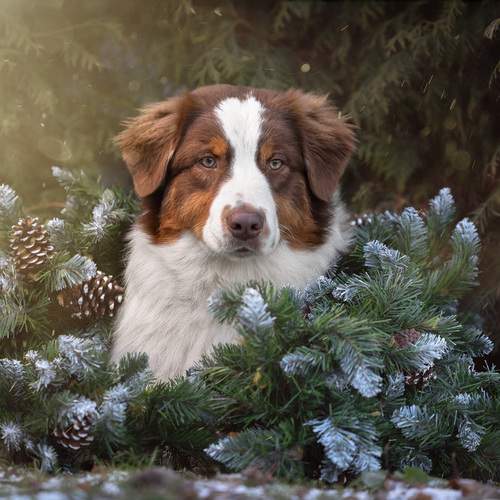 Photo #13391876