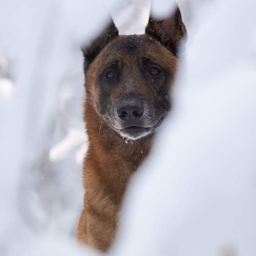 Photo #13391931