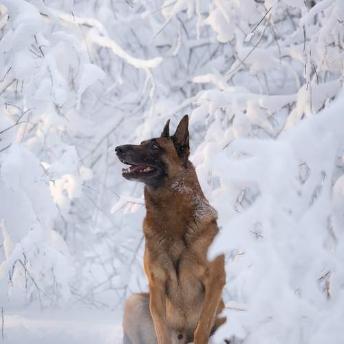 Photo #13391942