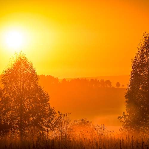 Photo #13392060