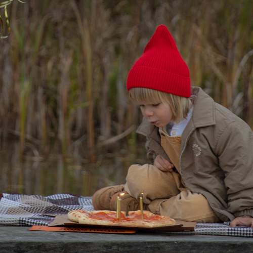 Photo #13392122