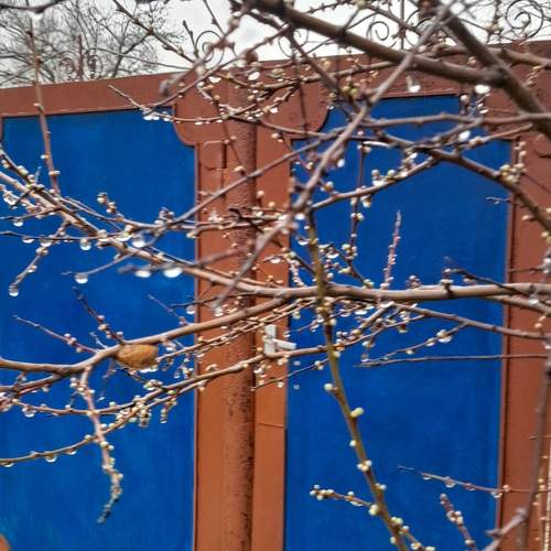 Photo #13392123