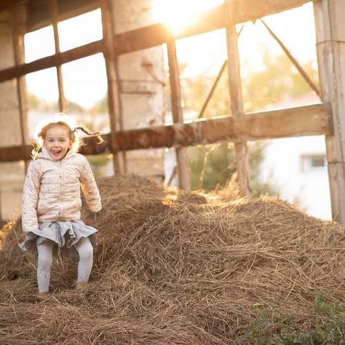 Photo #13392132