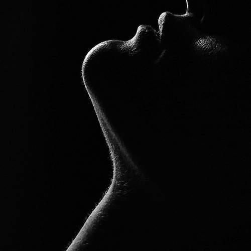 Photo #13392146