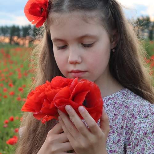 Photo #13392206