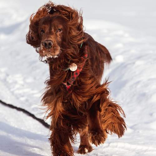 Photo #13392298