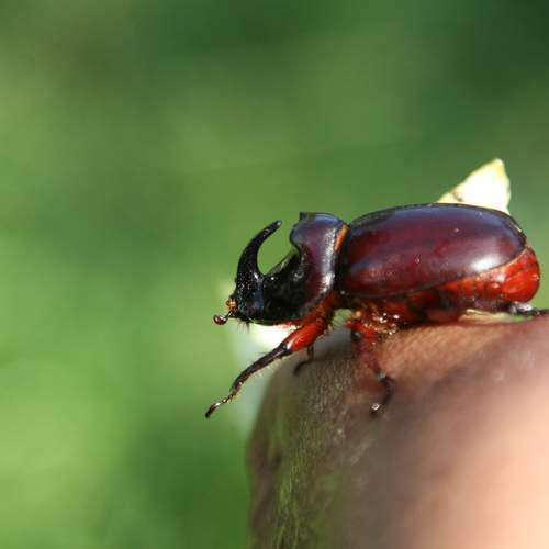 Photo #13392332